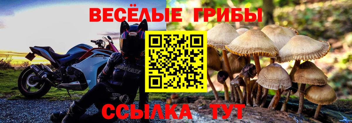 Галлюциногенные грибы мухоморы Новоуральск