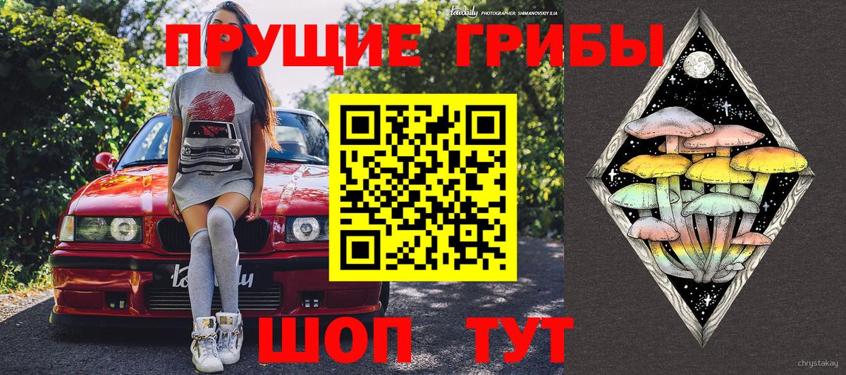 Новоуральск  Галлюциногенные грибы Magic Shrooms  Вход с VPN 